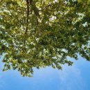 황강식당 | 합천 모래놀이 / 정양레포츠공원 황강, 작년과 달라진 점