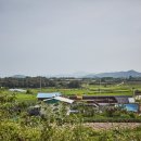 여주그린수상레저