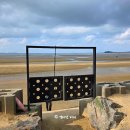 몽산포랑바다랑 | 태안 몽산포 오토 캠핑장 추천 바다뷰 명당자리 맛조개 체험 후기