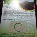 상월목장 네이버블로그