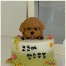 정성스럽개 이미지