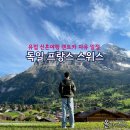 마리엔결혼정보 | 유럽 신혼여행 렌트카 자유여행 일정 공유 &lt;독일, 프랑스, 스위스&gt;