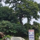 유명산둥지 이미지