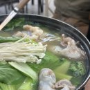 1134 | 수원 인계동 쭈꾸미 알쭈꾸미 샤브샤브 봄 제철음식 맛집 ‘삼학도회수산’ 내돈내산 솔직후기