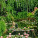 모네의 정원 이미지