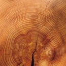 나무로협동조합 이미지