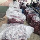 새한장여관 이미지