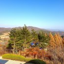 죽산 농촌체험 휴양마을 이미지