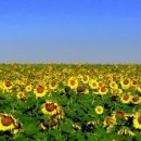 공인중개사(부동산학개론) 이미지