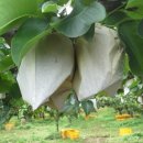 은지농장 이미지