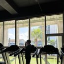 다려도이야기 | (9/7) 제주살이 뚜벅이 2일차(부스터짐, 제주도민속자연사박물관, 다려도이야기-노맛, 아베베베이커리
