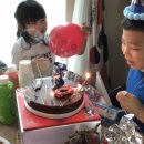 차시원 카카오 검색결과