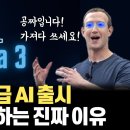 Meta, GPT4급 AI 라마3 출시... Meta가 AI 를 무료로 푸는 진짜 이유는 틱톡, 넷플릭스 때문? 이미지