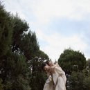 시그널결혼정보