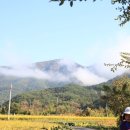 담양클로버 이미지