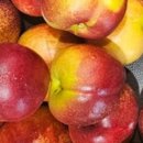 승주농장 이미지