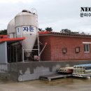 돼지여인숙