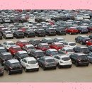 성공렌트카 이미지