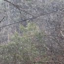 운봉읍 매요마을 이미지