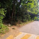 황송공원 이미지