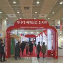 비씨우드