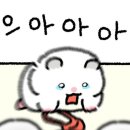 알파복싱 | 알파CD 아리턴과 함께 13kg 감량