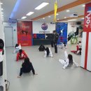 경희대 석사 태권나라 태권도장 이미지