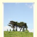 오케이목장 이미지