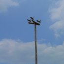 진또배기 이미지