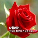 하필 내생일날 손자가 다쳐서 속상 하네요~ㅠ 이미지