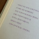 데이투나잇