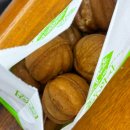 대진오토바이 | 극 P들의 부산여행 1일차[26/04/10]