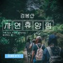 푸른3급부분정비공업사 | 검봉산 자연휴양림 완벽 가이드 숙소 예약 방법과 5가지 꿀팁