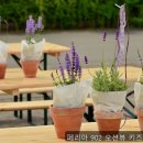 페리아902오션뷰키즈가족펜션 네이버블로그