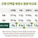 강아지홀릭 | 노견 사료 바꾼후기 후코홀릭, 강아지 사료추천, 곤충사료 장단점, 후코홀릭 간식추천 내돈내산후기~!