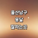 울산 퀵 서비스 | 울산 남구 근처 화물용달 잘하는곳 용달이사 전문업체...라보용달 퀵서비스 소형 대여 후기 렌트 침대...