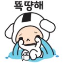 홍춘천치즈닭갈비광양 이미지