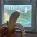 목포한국병원 | 목포미즈아이병원 입원 후기_다인실, 1인실, 출산가방 준비물, 신생아실 면회, 황달 (25년 8월)