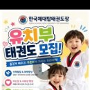 한국체대탑태권도장 - 포항시 남구 남원로 86-15 | 한국체대탑태권도장