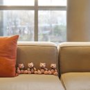 수정스테이 이미지