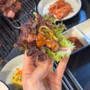 대덕대로335번길 | 대전 월평동 맛집 강남삼겹살(강남회관) 월평점