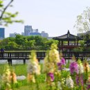 한밭수목원 이미지