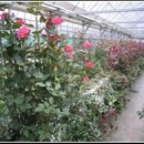 아라리축산 이미지