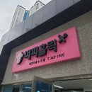 몽이애견미용 이미지