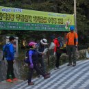 번개사 Daum카페