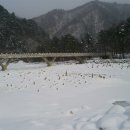 용대2리 이미지