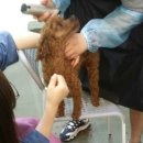치타몰