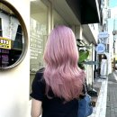 후니베이프 | 엶방 돌아보기티비