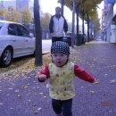 오리둥지 이미지