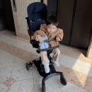 리안 | 리안 젠트라이크 내돈내산 후기 정품등록 폴딩 방법